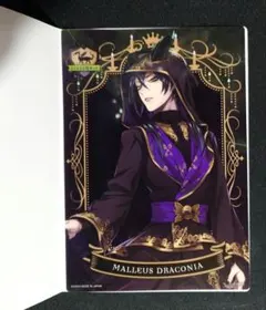 ツイステッドワンダーランド Malleus Draconia ポスター