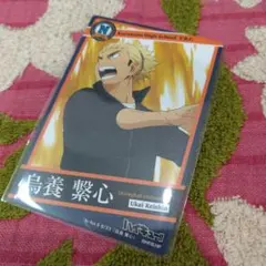 No.33 ハイキュー!!きゃらくたぶるカードグミ3 烏養繋心