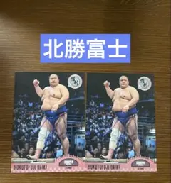 2026年最新】北勝富士の人気アイテム - メルカリ