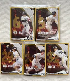 プロ野球ファンスターリーグキャンペーンカードソフトバンク5種５枚　セブン