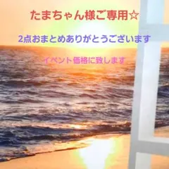 たまちゃん様ご専用☆2点おまとめありがとうございます☆13日お手続きお取り置き