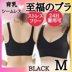 ☆ ブラック M 育乳ブラ ナイトブラ シームレスブラ 極楽 補正下着 020
