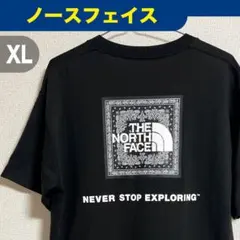 THE NORTH FACE ザ ノースフェイス バンダナ スクエア ロゴT