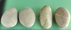 イリイリ・フラダンス②