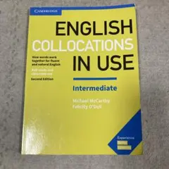 English Collocations in Use Intermediate