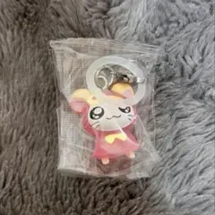 【新品未開封】ハム太郎　めじるしアクセサリー　とっとこハム太郎 ちゅりー！
