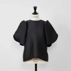 2026年最新】heve ブラウスの人気アイテム - メルカリ