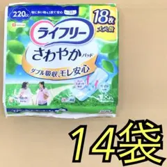 Item thumbnail for item 234c698b-0232-41ef-931e-f08c717e03bd