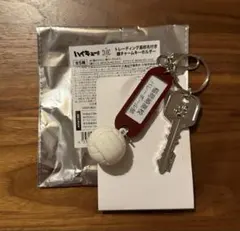 ハイキュー!! トレーディング高校名付き 鍵チャーム キーホルダー 稲荷崎高校