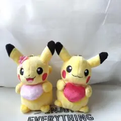 ポケモン ぬいぐるみ マンスリーペアピカチュウ 2月 バレンタイン