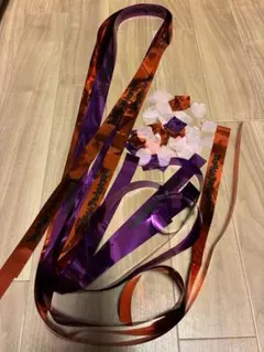 MOUSE PEACE FES. マウピフェス 2025 銀テープ＋落下物