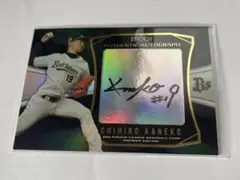 Item thumbnail for item 899b9deb-1d56-412c-8420-3aaaa190f38e