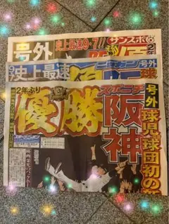 阪神優勝　号外３種 セット