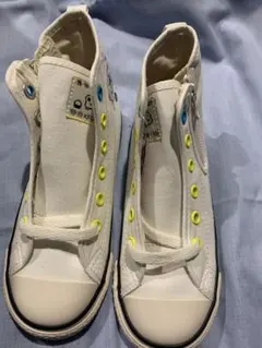 Item thumbnail for item 89d8e5b9-5bfa-4782-8e68-224e7ac4af3e