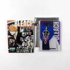 BLEACH ︎ ︎更木剣八 ︎ ︎ステータスカードコレクション ︎ ︎第1弾