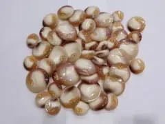 ボタンまとめ売り20(レトロベージュ)