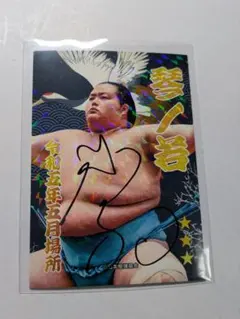 Item thumbnail for item 09413bbb-ef2f-4586-b8e7-ba67b9baf67f