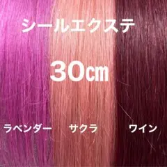 編み込みエクステ 67 束毛 カラーエクステ - メルカリ