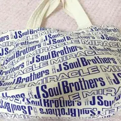 三代目 J Soul Brothers ランチバッグ