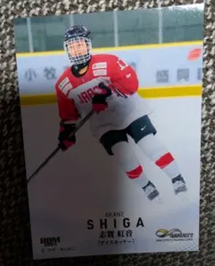 Item thumbnail for item 1c7c2ff9-ed63-4b74-ac77-ffd10267baa9