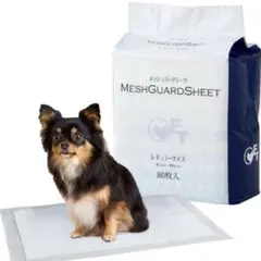 Item thumbnail for item 52e4247e-bcdf-4f21-a25e-d4f47d303bd4