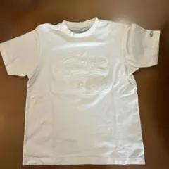 ほぼ未使用　LACOSTE ホワイト Tシャツのサムネイル