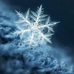 ⭐︎プロフ必読⭐︎様 おまとめ商品