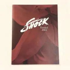 2026年最新】endless shock グッズの人気アイテム - メルカリ