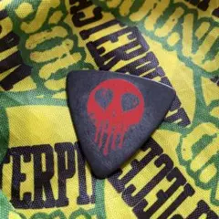 LUNA SEA J LUNATIC FEST. 2015 ピックのサムネイル