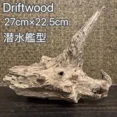 Item thumbnail for item 12c699f3-3aff-4726-8cef-883a8e7e1bce