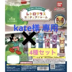 専用‼︎ディズニーキャラクター レトログラスミニチュアチャーム (4種セット)