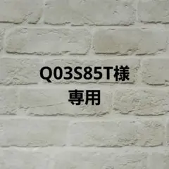 Q03S85T様専用　缶バッジ