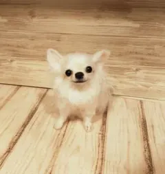 羊毛フェルト　ハンドメイド　犬　チワワ