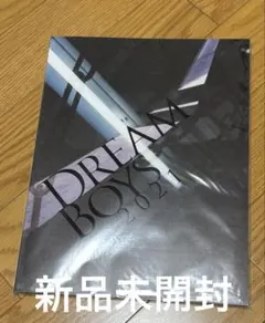 DREAM BOYS パンフレット 2021