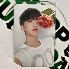 SEVENTEEN 17 IS RIGHT HERE DEAR盤 トレカ ホシ