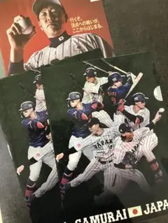 侍ジャパン　クリアファイル 2枚　2025年11月16日来場配布品