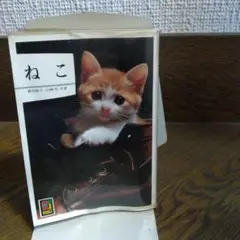 保育社 カラーブックス ねこ　廣田靚子著　山崎哲共著