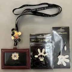 東京ディズニーシー　ミラコスタ　パスケース　スマートフォンリング　クリーナーのサムネイル