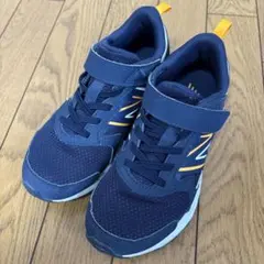 Item thumbnail for item 34691a90-ee91-428a-ad02-5984b3904043