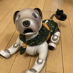 SONY aibo洋服　スター柄クリスマスグリーンお出かけ上下