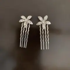 Item thumbnail for item 61677382-3a5d-4da9-b7ef-c50e362a6e60