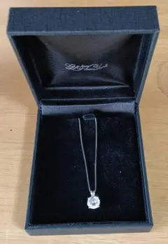 Item thumbnail for item 8b8f3aae-408a-4697-896c-f26c86d39d9c