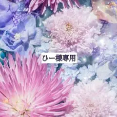 【ひー様専用】