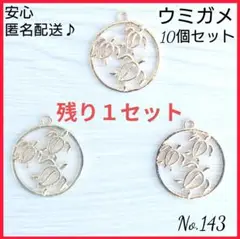 【匿名配送】空枠〜ウミガメ〜10個セット No.143　レジン枠　ホヌ　海亀