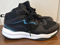 TIGORA バッシュ　 21.0cmのサムネイル