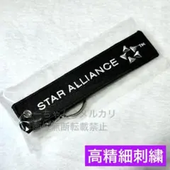 まみ様専用ページ ANAロゴ ホヌ1号機 スタアラ フライトタグ 3種類セット