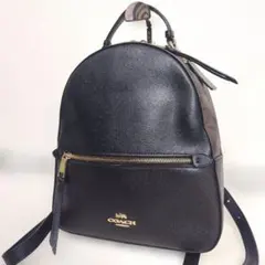 ✨極美品✨COACHコーチ　シグネチャーバックパック PVCレザー　F76622 COACH（コーチ） リュック バックパック レディース F76622 2322 2725