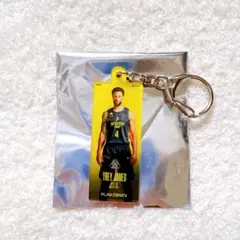 群馬クレインサンダーズ バスケットボール