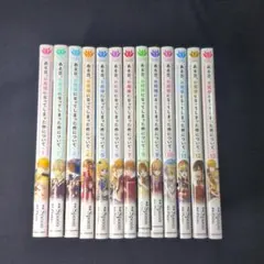 【初版多数】ある日、お姫様になってしまった件について 1-13巻 全巻セット