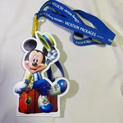 ディズニー パスケース　バケーションパッケージ